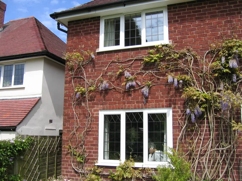 Edwardian Eltham